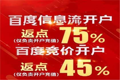 Sem优化公司案例：精准广告投放策略解析